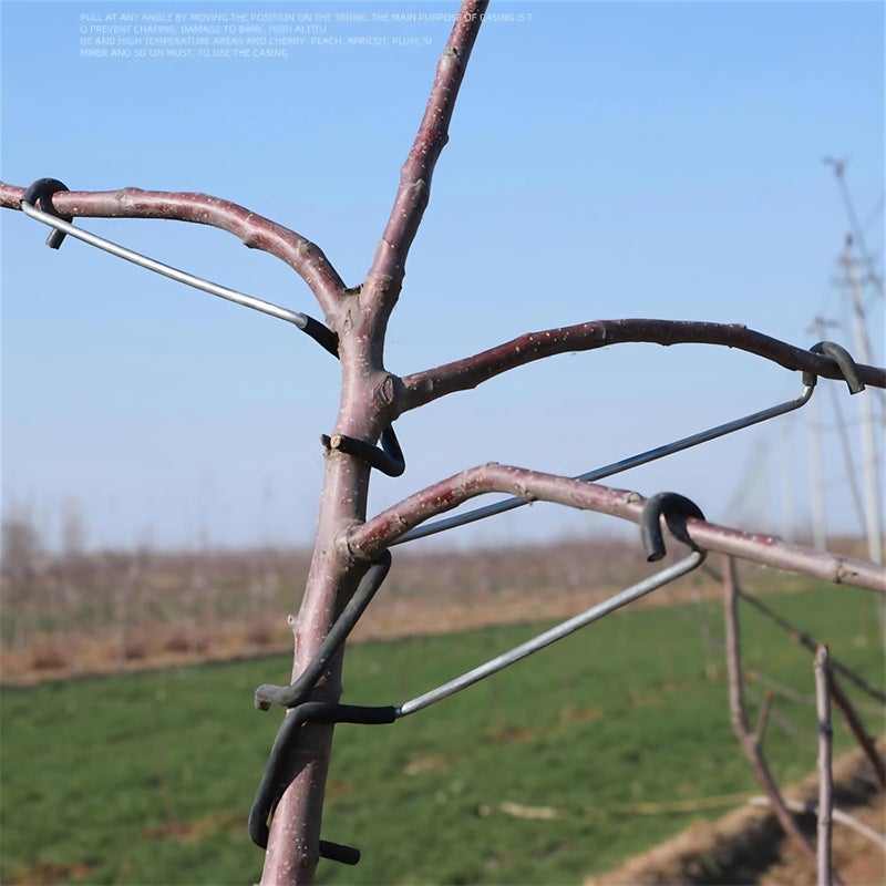 WLSANX Fruit Tree Limb Spreader 20pcs, 7 Inch Branch Puller,New Fruit Branch Spreader Plastic Hose Wrapped Iron Wire Don't Damage Branches,Twigs Open Angle Pull Branch Bending Tool (18T) - Image 2